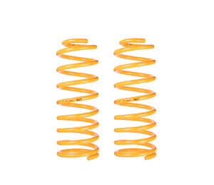 Ford Falcon (2008-2022)  FG; FGX - XR6 SEDAN 5/08-ON King Coil Springs Rear Lowered (Pair)